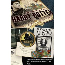 Cofre Artefacto Harry Potter Noble Collection