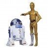 Pack Figuras R2-D2 & C-3PO Star Wars Mission Series Hasbro