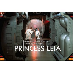 Poster Vidrio Princesa Leia y R2-D2 90 x 60 cm Star Wars