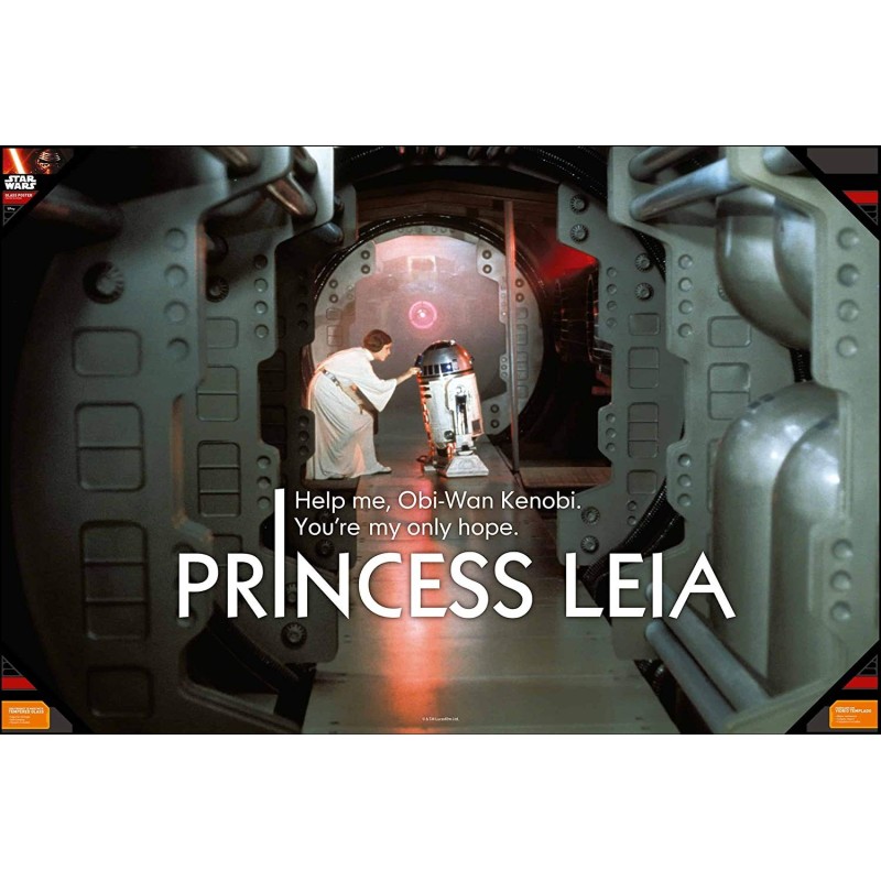 Poster Vidrio Princesa Leia y R2-D2 90 x 60 cm Star Wars