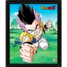 Poster 3D Fusión Dragon Ball