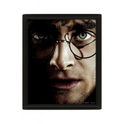 Poster 3D Harry & Voldemort harry Potter