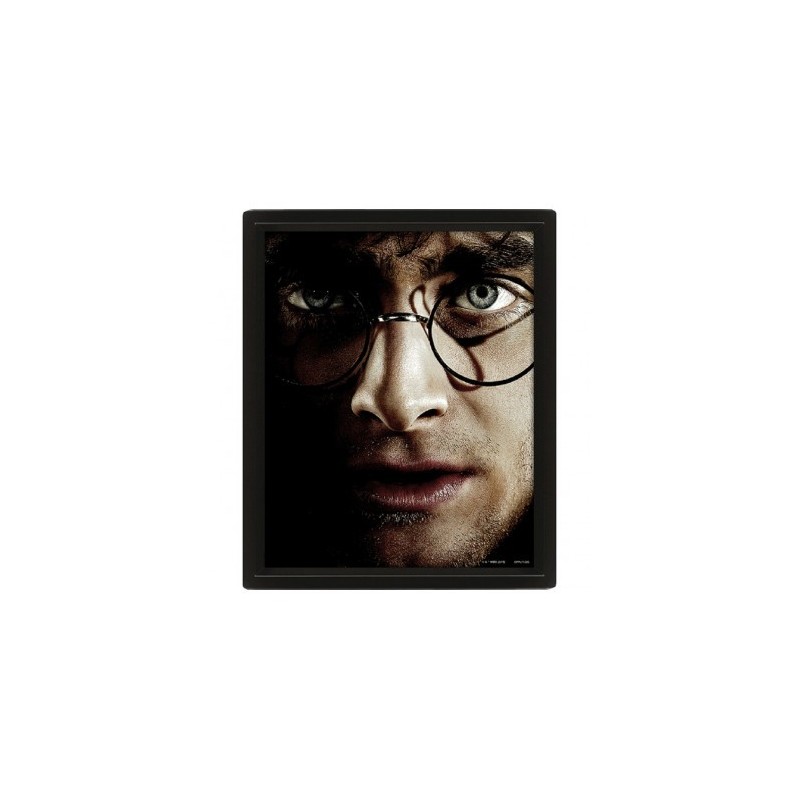 Poster 3D Harry & Voldemort harry Potter