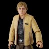 Figura Articulada Luke Skywalker (Yavin Ceremony) Star Wars The Black Series