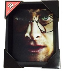 Poster 3D Harry & Voldemort Harry Potter