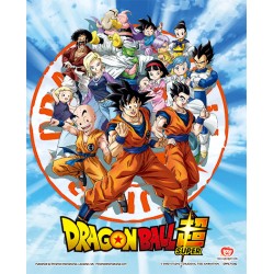 Poster 3D Goku y Personajes Dragon Ball Super