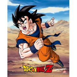 Poster 3D Goku y Vegeta Dragon Ball Z