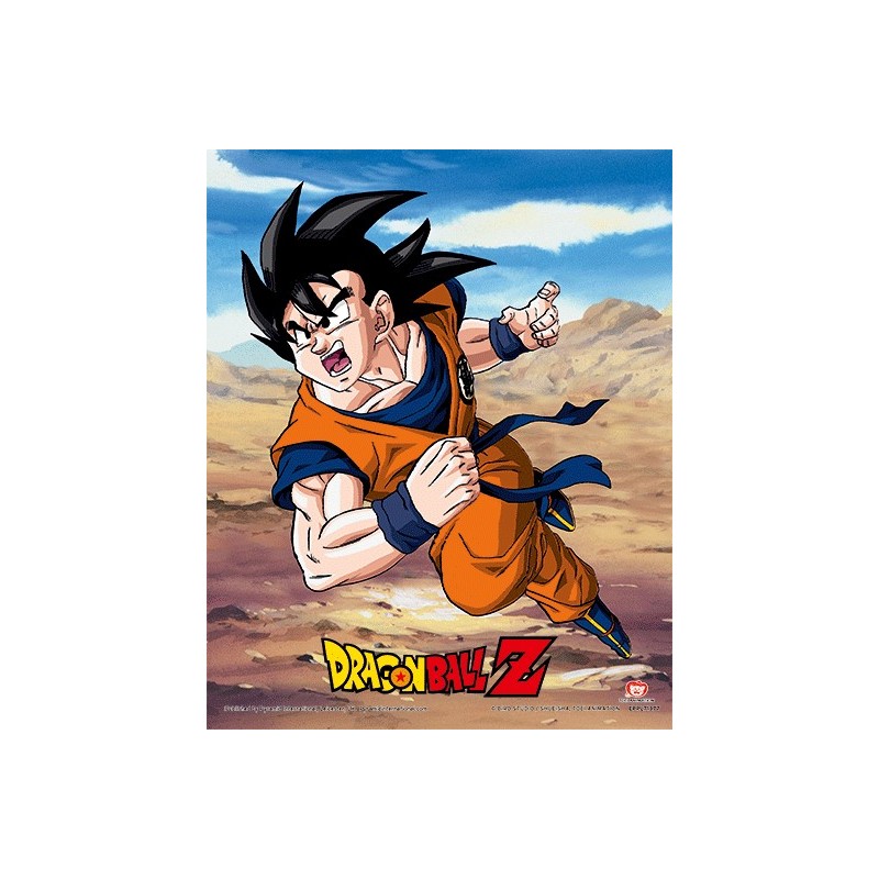 Poster 3D Goku y Vegeta Dragon Ball Z