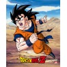 Poster 3D Goku y Vegeta Dragon Ball Z