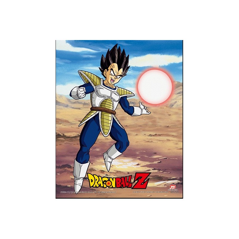 Poster 3D Goku y Vegeta Dragon Ball Z Poster 3D Goku y Vegeta Dragon Ball Z