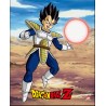 Poster 3D Goku y Vegeta Dragon Ball Z