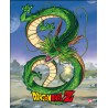 Poster 3D Shenron Dragon Ball Z