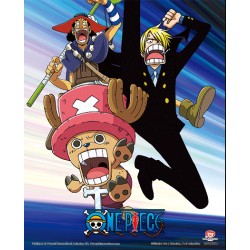 Poster 3D Personajes One Piece