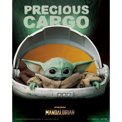 Poster 3D Precious Cargo Star Wars The Mandalorian