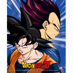 Poster 3D Protectors and Destroyers Dragon Ball Z
