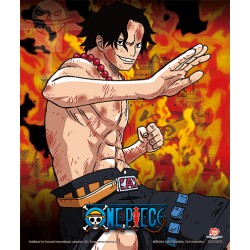 Poster 3D Brothers Burning Rage One Piece
