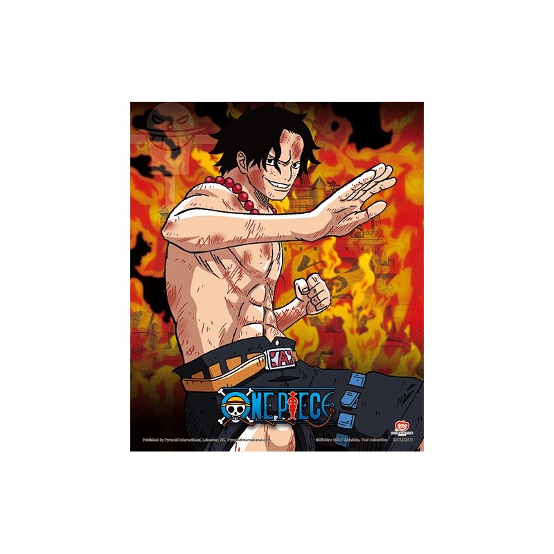 Poster 3D Brothers Burning Rage One Piece