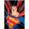 Puzzle Superman 1000 piezas DC