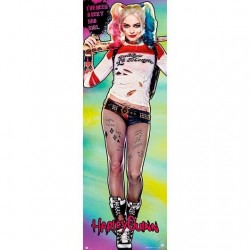 Poster Puerta Harley Quinn Suicide Squad DC 53 x 158 cm