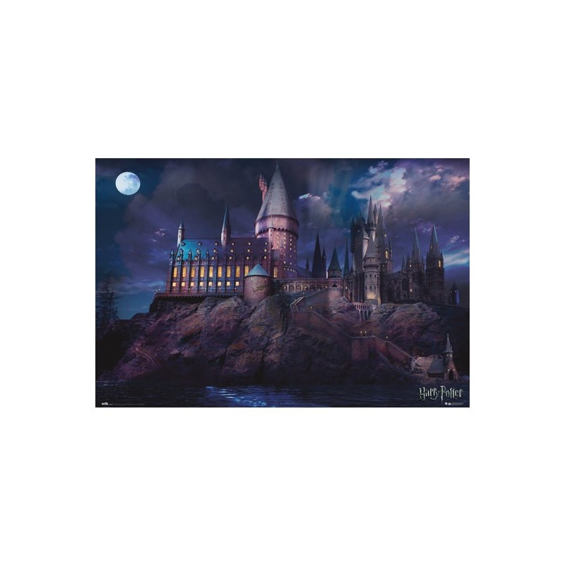 Poster Hogwarts Harry Potter 61 x 91,5 cm