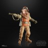 Figura Articulada Kuiil Star Wars Black Series 15 cm Mando Mondays Hasbro