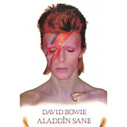 Poster David Bowie Aladdin Sane 61 x 91,5 cm