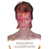 Poster David Bowie Aladdin Sane 61 x 91,5 cm