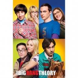 Poster The Bing Bang Theory Mosaico 61 x 91,5 cm