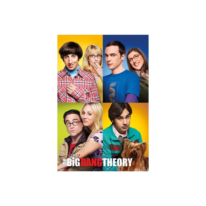 Poster The Bing Bang Theory Mosaico 61 x 91,5 cm