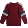 Sudadera Niño Roja Gryffindor Harry Potter