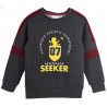 Sudadera Niño Gris Gryffindor Harry Potter