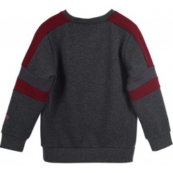 Sudadera Niño Gris Gryffindor Harry Potter