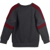 Sudadera Niño Gris Gryffindor Harry Potter