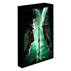 Lienzo con Luz Harry vs Voldemort Harry Potter 30x40cm