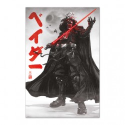Poster Darth Vader Visions Star Wars 61 x 91,5 cm
