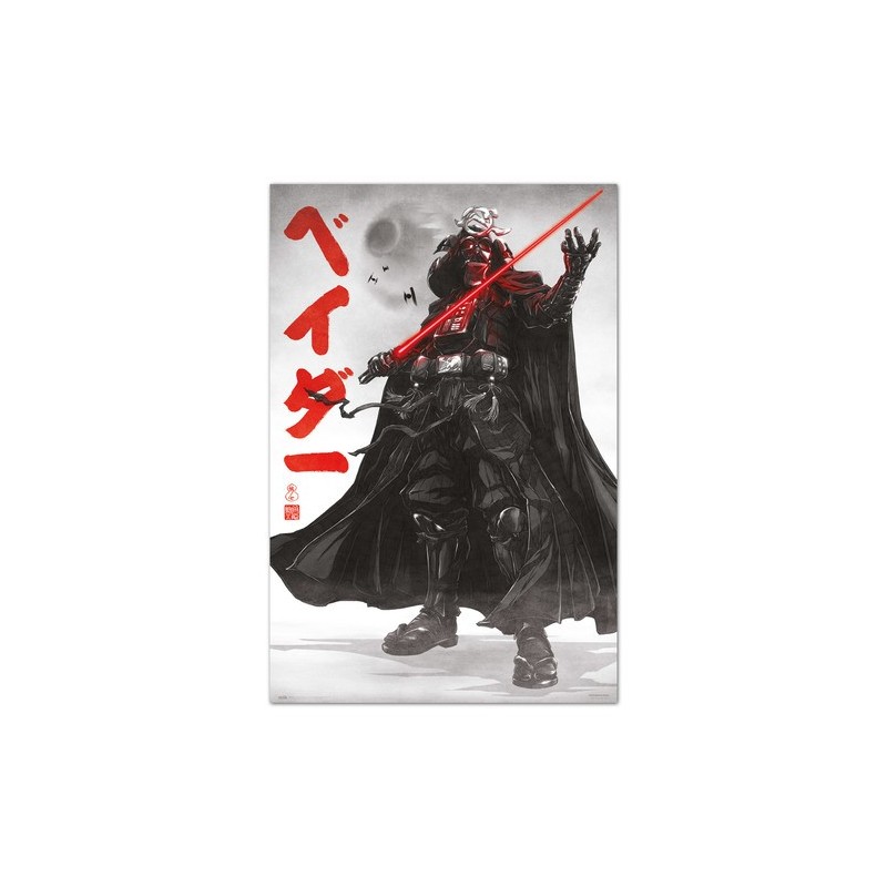 Poster Darth Vader Visions Star Wars 61 x 91,5 cm