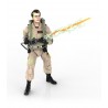 Figura Articulada Ray Stantz Cazafantasmas 15 cm Plasma Series Hasbro (Brilla en la oscuridad)