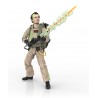 Figura Articulada Peter Venkman Cazafantasmas 15 cm Plasma Series Hasbro (Brilla en la oscuridad)