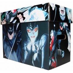 Caja con Tapa Personajes Batman DC