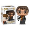 Figura POP Harry Potter con hedwig Harry Potter