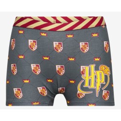 Pack 2 Boxers Niño Gryffindor Gris Oscuro y Blanco Harry Potter
