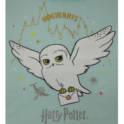 Conjunto Bebé Blanco y Azul Hogwarts Harry Potter