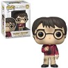 Figura POP Harry con la piefra de Harry Potter