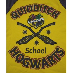 Camiseta Manga Larga Amarilla Quidditch Harry Potter