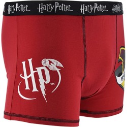 Pack 2 Boxers Hogwarts Harry Potter