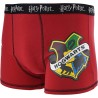 Pack 2 Boxers Hogwarts Harry Potter