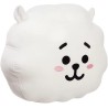 Peluche Cojin BT21 RJ 32cm