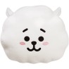 Peluche Cojin BT21 RJ 32cm