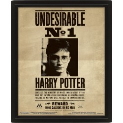 Cuadro 3D Undesirable Nº1 Harry/Sirius Harry Potter
