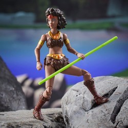 Figura Diana Dragones y Mazmorras Hasbro D&D